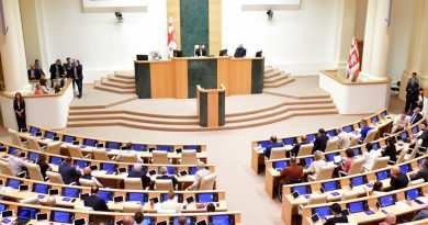 Парламент Грузии принял законопроект «Об амнистии» в первом чтении