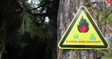 Поджигателям леса (даже не преднамеренно) грозит лишение свободы от 4 до 8 лет