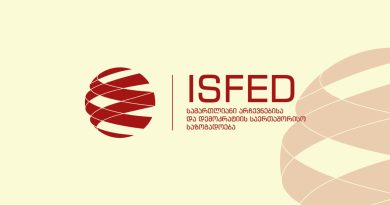 Какие тенденции выявило наблюдение за предвыборной средой — отчет ISFED