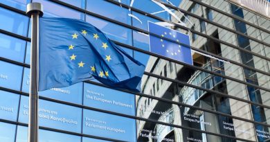 Опубликован проект резолюции Европарламента об отступлении Грузии от демократии