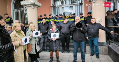 «Не собираемся входить в Верховный совет Аджарии» — оппозиция в Батуми пикетирует здание администрации автономии