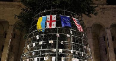 По обвинению в «повреждении» каркаса елки задержаны два человека