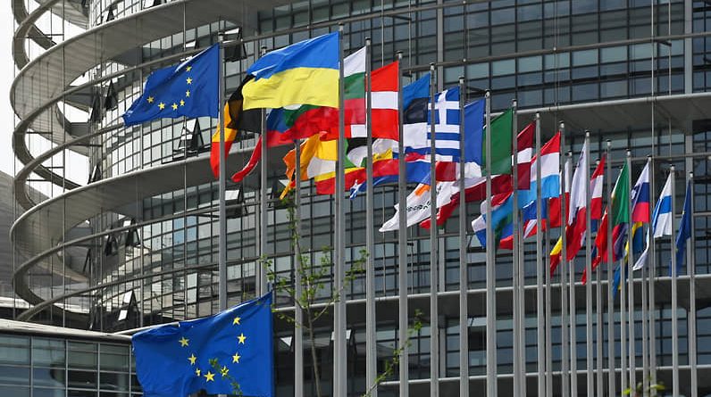 Депутаты Европарламента призывают ЕС к введению санкций против Бидзины Иванишвили