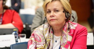 Евродепутат: Россия управляет «Грузинской мечтой»