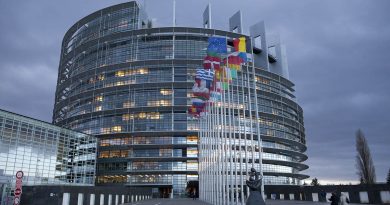 Йозвиак: Европарламент проголосует по резолюции по Грузии