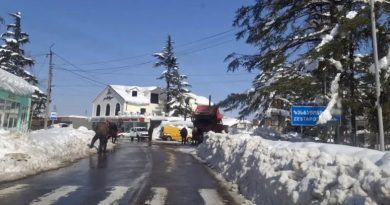 В Имерети появился доступ к 45 селам пострадавшим от обильного снегопада