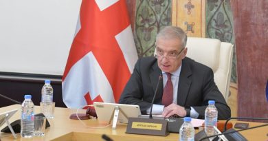 Вице-спикер VS «3+3»: позицию Грузии будут определять происходящие в мире процессы