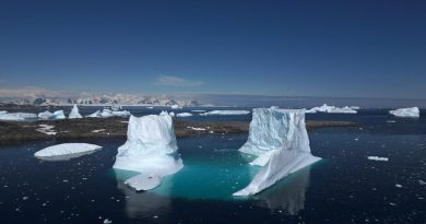 Площадь морского льда в феврале сократилась до исторического минимума