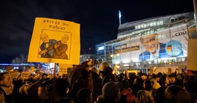 Протесты против правых и запрос ХДС/ХСС: нейтральны ли немецкие НКО?