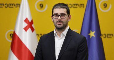 Член «Сильной Грузии»: «Мечта» заменяет дискредитировавших себя коррупционеров