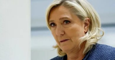 Французские ультраправые протестуют против приговора Марин Ле Пен