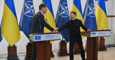 FT: В ЕС опасаются срыва саммита НАТО из-за мирного плана Трампа по Украине