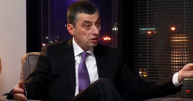 Гахария: для понимания общего контекста событий «ночи Гаврилова», комиссия должна допросить и Иванишвили