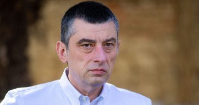 Гахария: я не собирался пускать Гаврилова в Грузию, но cтали звонить с просьбами из парламента