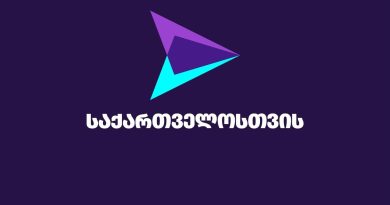«Гахария за Грузию»: действия «Мечты» направлены на провоцирование гражданского конфликта
