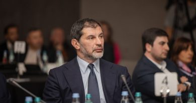 Генсек «Мечты»: внеочередные парламентские выборы не планируются