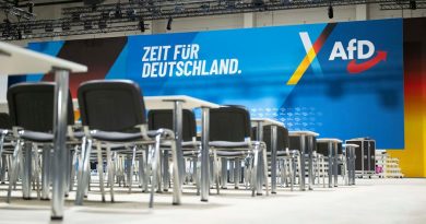 Германские ультраправые впервые сравнялись в соцопросе с консерваторами