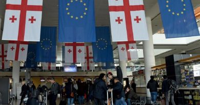 Грузинские политики о возможной отмене безвизового режима с ЕС [цитаты]