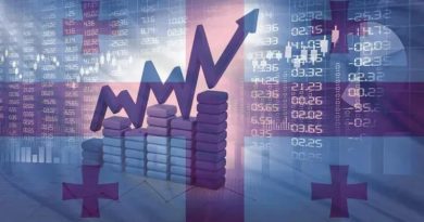 «Грузстат»: в марте 2025 года реальный рост ВВП составил 9 %