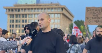 Экс-глава МИД Грузии: «Мечта» распространяет пропагандистский месседж о безвизе с ЕС