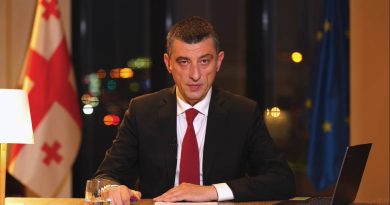 Лидер «Гахария за Грузию» явится на заседание временной комиссии по оценке правления «Нацдвижения»