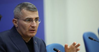 Мдинарадзе: состоится съезд «Грузинской мечты», на котором будет избран новый председатель