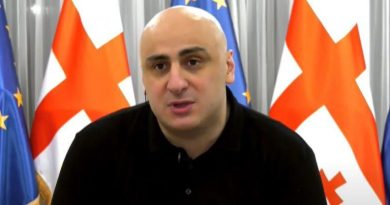 Мелия: часть оппозиционных партий думает об участии в выборах в органы местного самоуправления