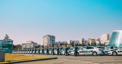 МВД Грузии: по обвинению в домашнем насилии в отношении ребенка задержаны мать и бабушка