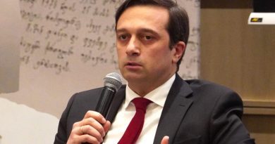 Омбудсмен Грузии: 10, 20, даже 50 человек не имеют права перекрывать улицу