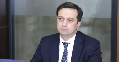 Омбудсмен Грузии: многие пострадали на митингах, но никто за это не был привлечен к ответственности
