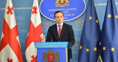 Омбудсмен Грузии: правоохранительные органы обязаны создать безопасную среду для несовершеннолетних
