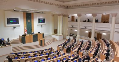 Парламент Грузии в I чтении принял поправки по запрету политических партий