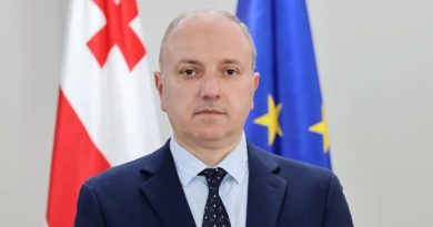 Первым замминистра регионального развития Грузии назначен Леван Зауташвили