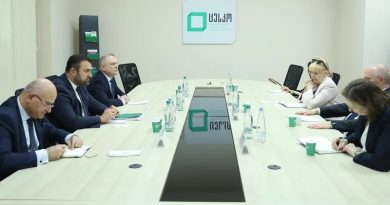Представители ЦИК встретились с генеральным секретарём ОБСЕ