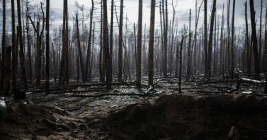 «Пришлось присягнуть на верность России». Как украинцам удается выехать из оккупации