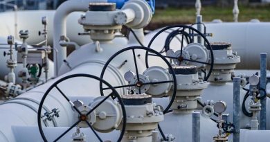 Reuters: Компании ЕС хотят увеличить импорт российского газа
