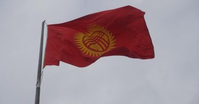 Сотрудницу «Русского дома» в Кыргызстане обвиняют в вербовке в ВС РФ
