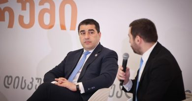 Спикер: обыски — правильные шаги, проводимые «на законных основаниях» на фоне попыток дестабилизации в Грузии