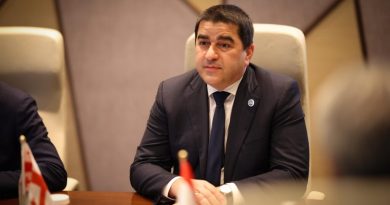 Спикер: спустя полгода после выборов парламент XI созыва функционирует, бойкот навредил только оппозиции
