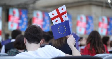 Свыше 20 НПО призвали ЕС ввести санкции против «Грузинской мечты», а не граждан Грузии
