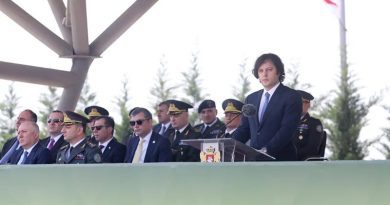 В Грузии отметили День Сил обороны