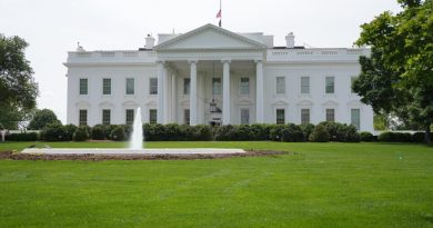 Вице-премьер: в администрации Трампа существует твердая позиция, что стратегическое партнерство с Грузией будет еще более углублено