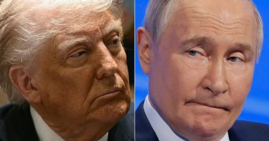 «Владимир, остановись!»: Трамп обратился к Путину после ночной атаки на Киев