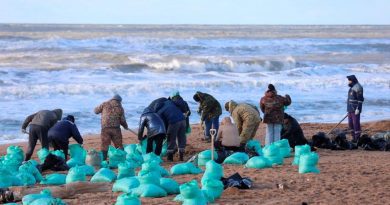 Все публичные пляжи Анапы закрыли для купания из-за разлива мазута