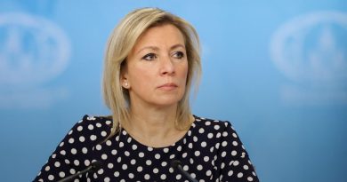 Захарова о стремлении Грузии в ЕС: тем, кто думает о национальных экономиках, там делать нечего