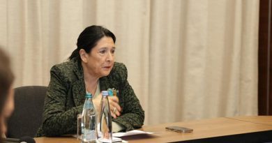 Зурабишвили: цель режима – остановить либерализацию визового режима