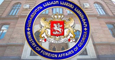 МИД Грузии объяснил отказ во въезде представителю ЕС: «техническое недоразумение»