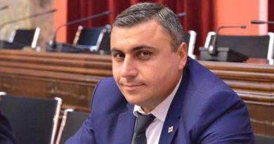 Член «Грузинской мечты»: в Грузии свобода слова достигла наивысшей точки