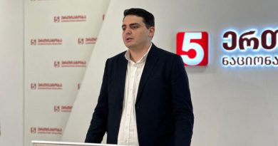 Член «Нацдвижения»: Парцхаладзе представлял на Красной площади «Мечту» и Иванишвили