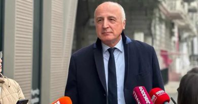 Член «Сильной Грузии»: задержание Ираклия Окруашвили было проявлением слабости